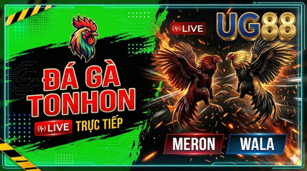 Đá Gà Tonhon Trực Tiếp Tại UG88